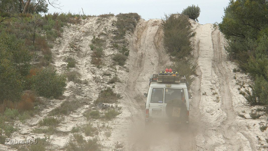 20-Harpo takes on a Little Desert sand dune.JPG